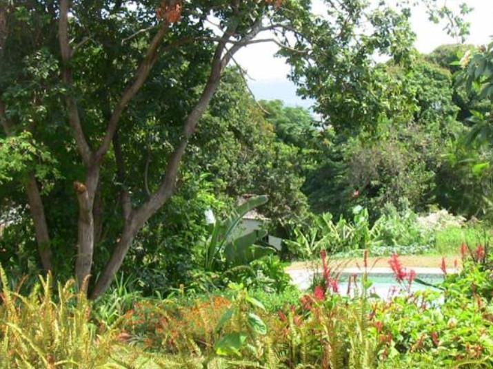Durban Bed And Breakfast Exterior photo